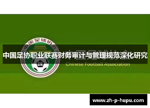 中国足协职业联赛财务审计与管理规范深化研究